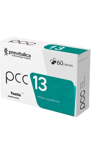 Testis - PCC 13